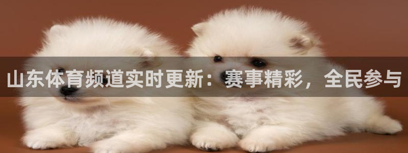 火凤免费观看体育直播