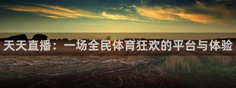 火凤直播五大联赛