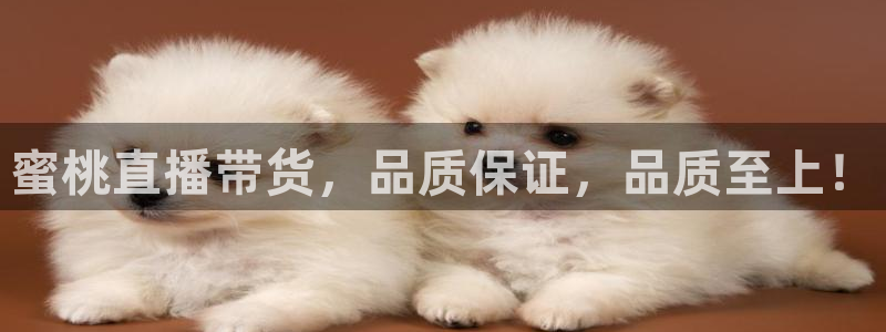 火凤直播体育足球：蜜桃直播带货，品质保证，品质至上！