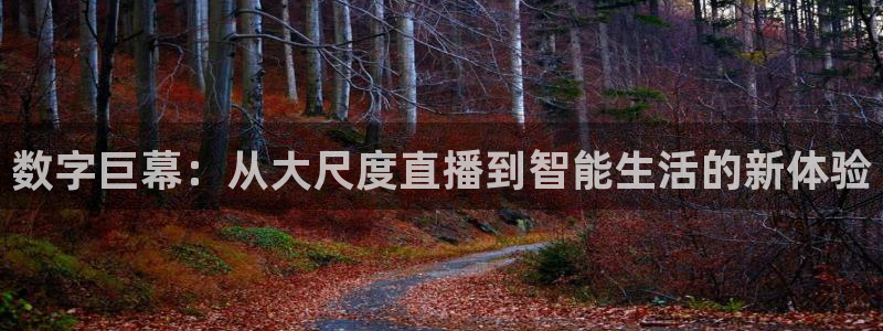 火凤直播足球免费观看：数字巨幕：从大尺度直播到智能生活的新体验