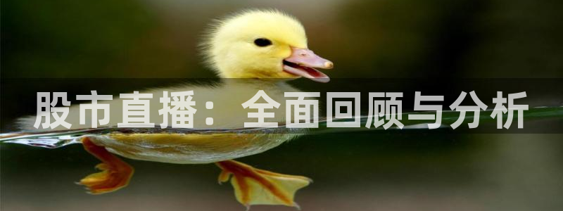 火凤直播足球免费观看：股市直播：全面回顾与分析